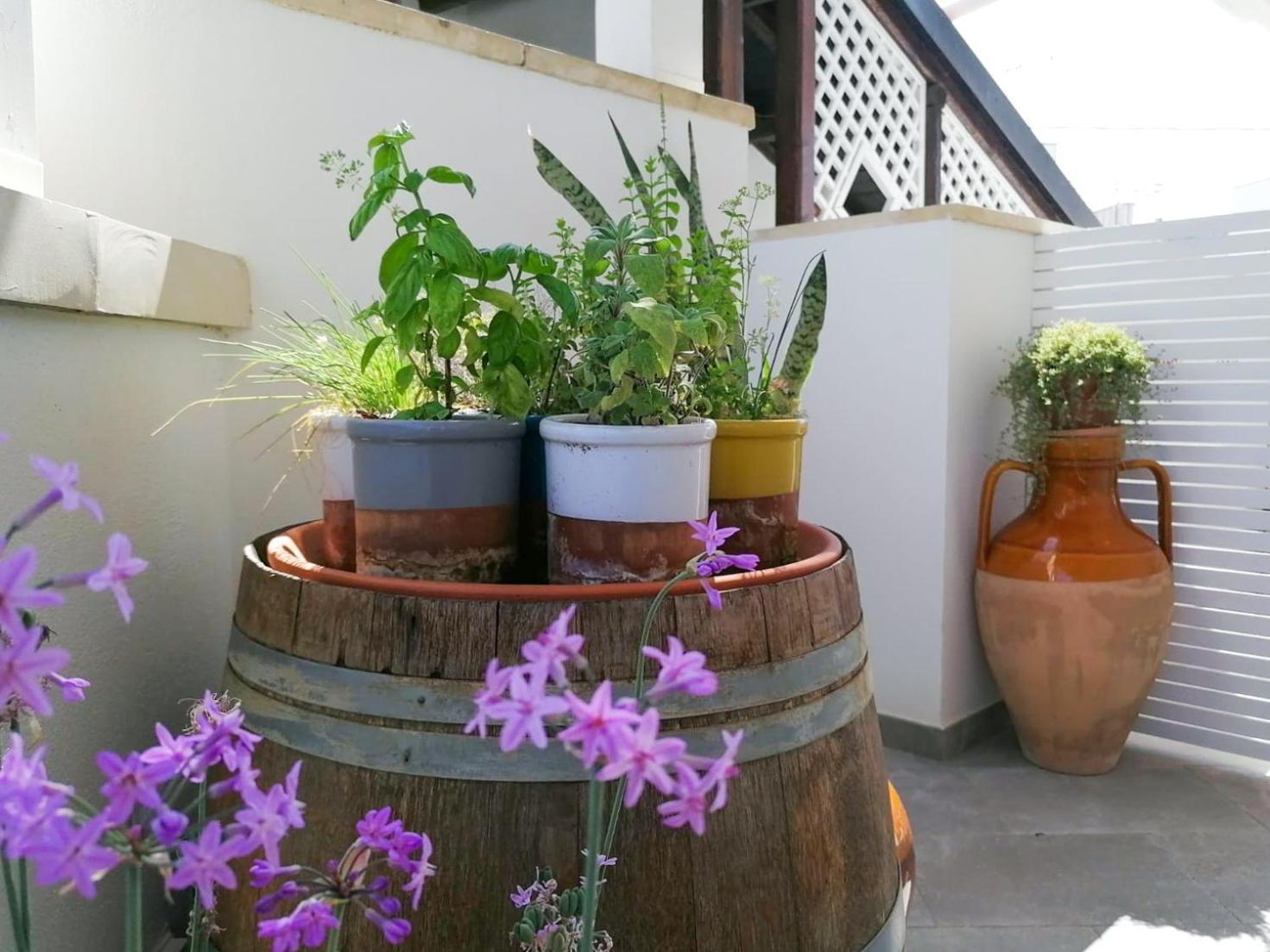 Casa Flora - Bed And Breakfast 토레 산 지오반니 우겐토 외부 사진